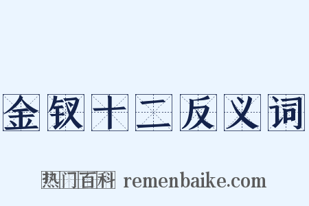 金钗十二反义词是什么意思的图片